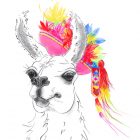 Illustration en détail d'un lama à l'encre, au crayon et dessin numérique