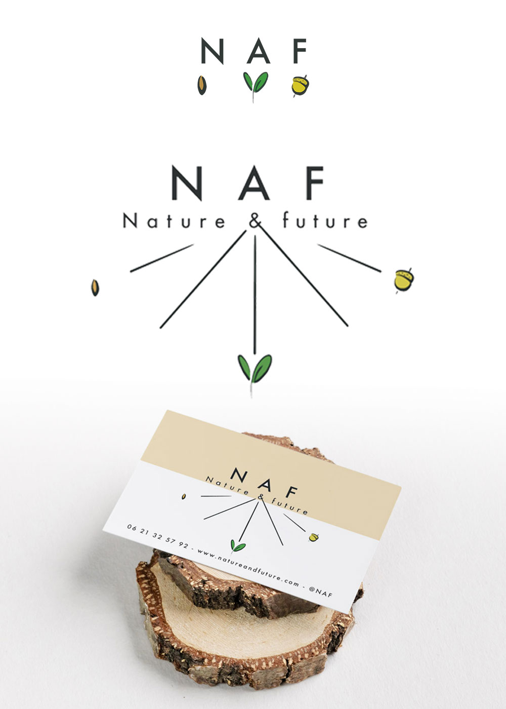 Exemple de création de logo illustré